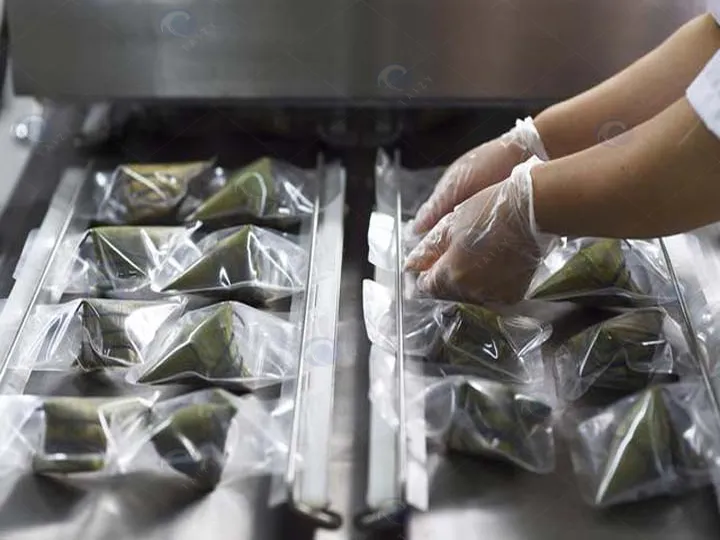 Vacuum packaging equipment