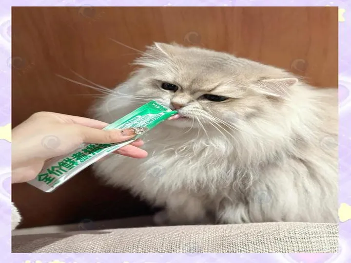 آلة سحق العظام لطحن عظام البقر | آلة معالجة العظام 7 Cat treats