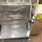 Fish Scale Remover