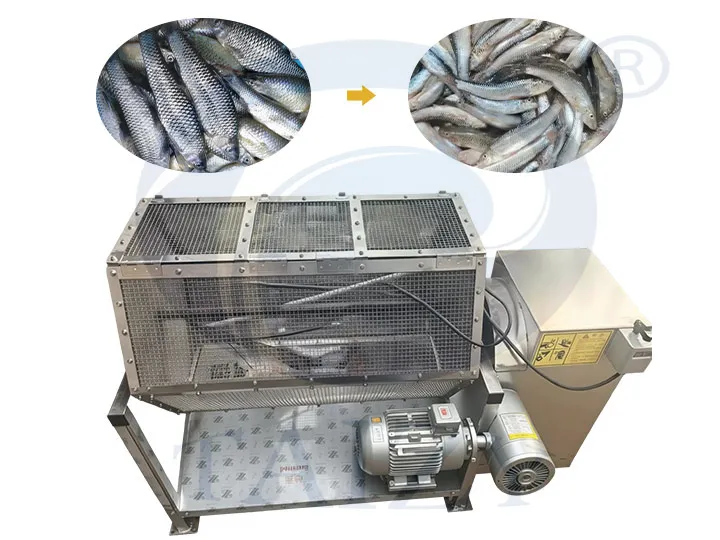 Fish Scale Remover Machine | Automatic Fish Scaler for Commercial Seafood Processing