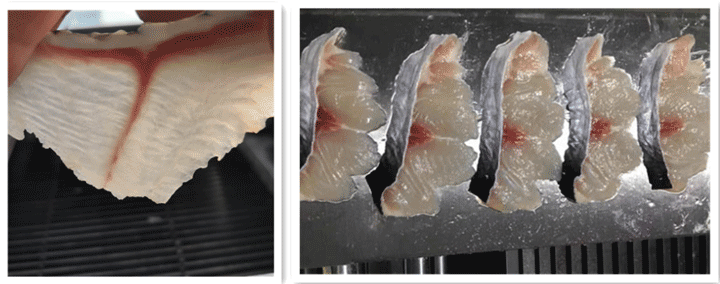 Diagonal fish fillets
