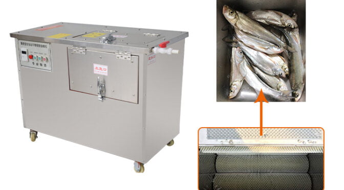 Fish Scale Remover Machine | Fish Scaling and Gutting Machine
