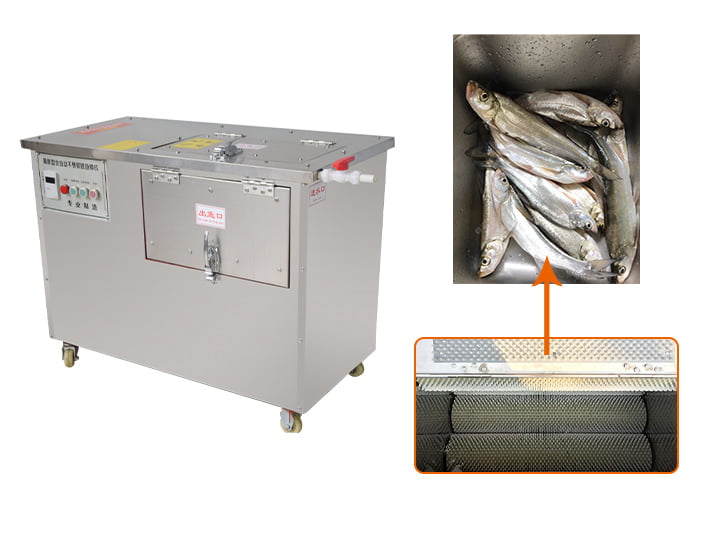 Automatic fish scaler machine