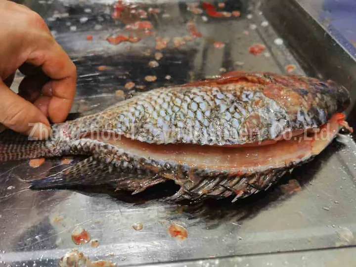 Fish processed by a fish slaughtering and descaling machine