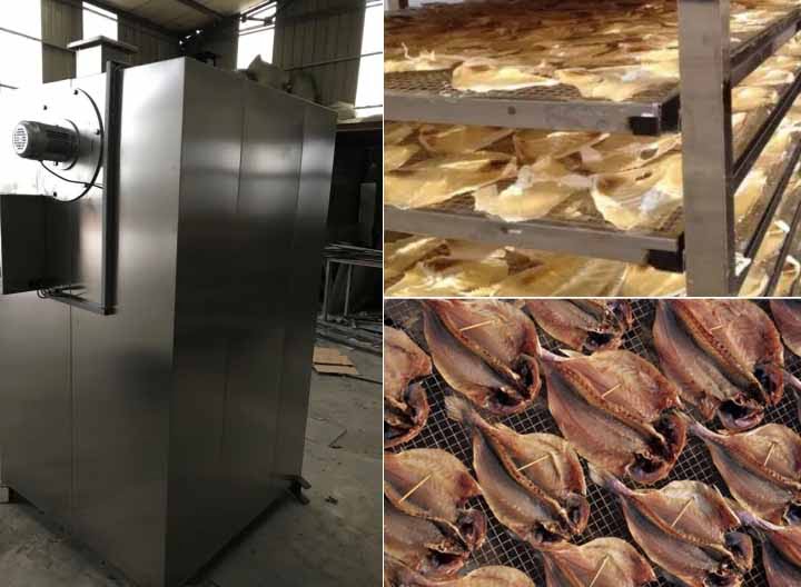 Philippines fish drying machine