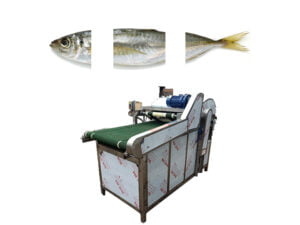Commercial fish head tail cutting machine | cutter machine