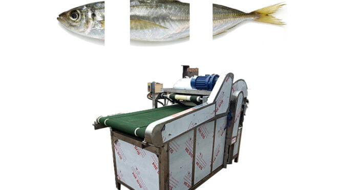 Commercial fish head tail cutting machine | fish cutter machine