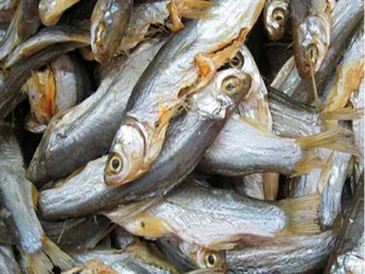 dreied fish