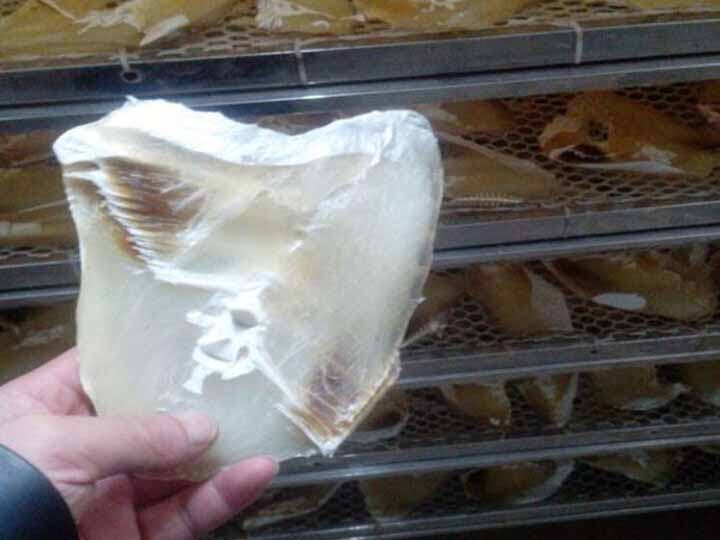 drying fish process