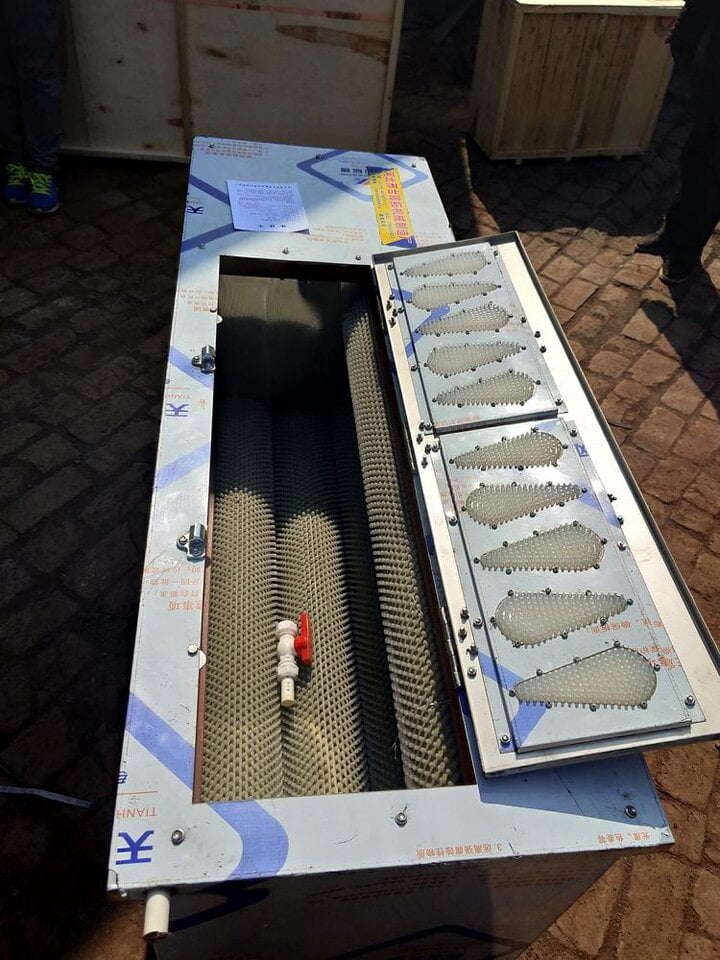 automatic fish scale remover machine