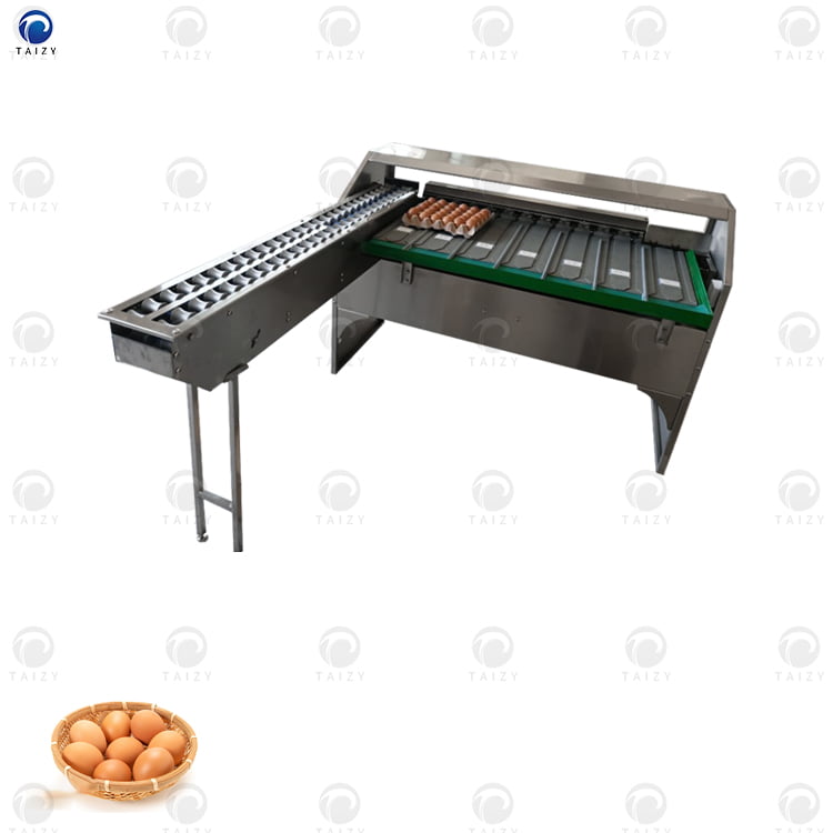 Electronic 5400Pcs/H Egg Grading Machine For Sorting Egg 2 Egg grading machine