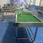 Automatic Egg Grader