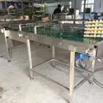 Automatic Egg Grading Machine