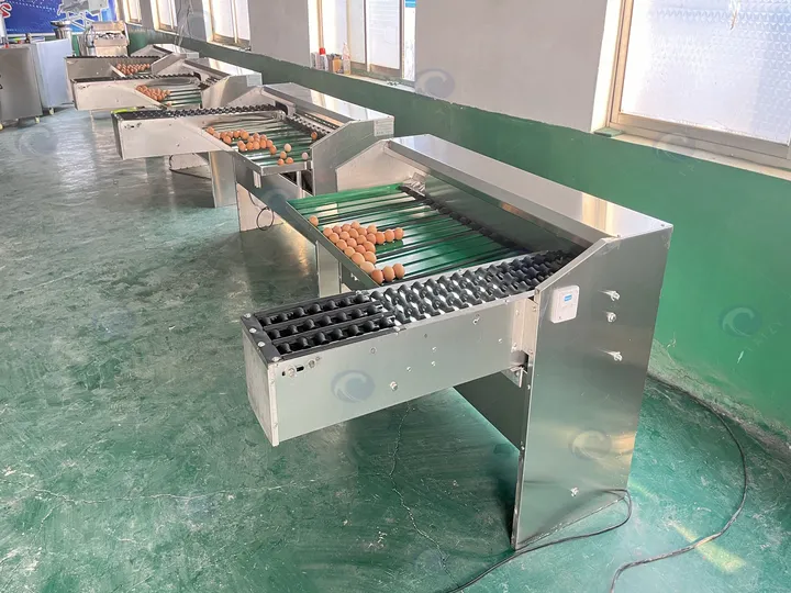 Commercial egg grader