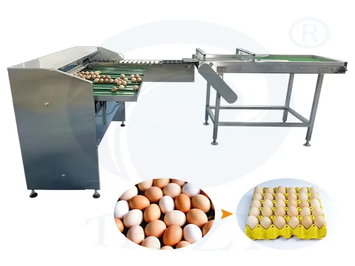 Electronic Egg Grading Machine