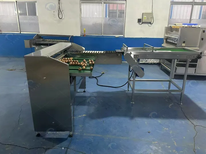 Машина для сортировки яиц