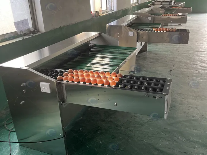 Industrial Egg Grading Machine