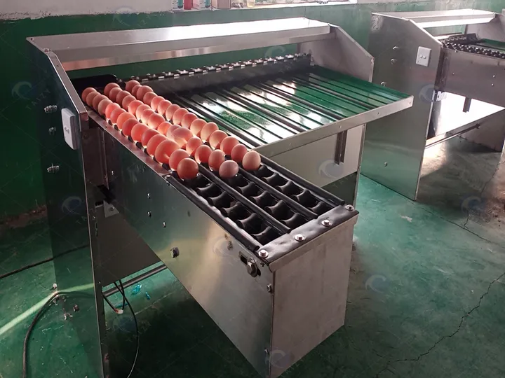 Stainless steel egg grading machine