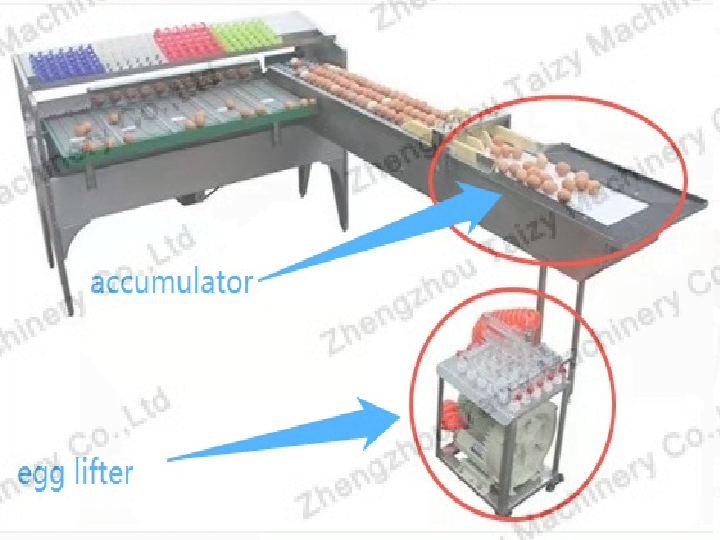 Upgraded egg grading machine