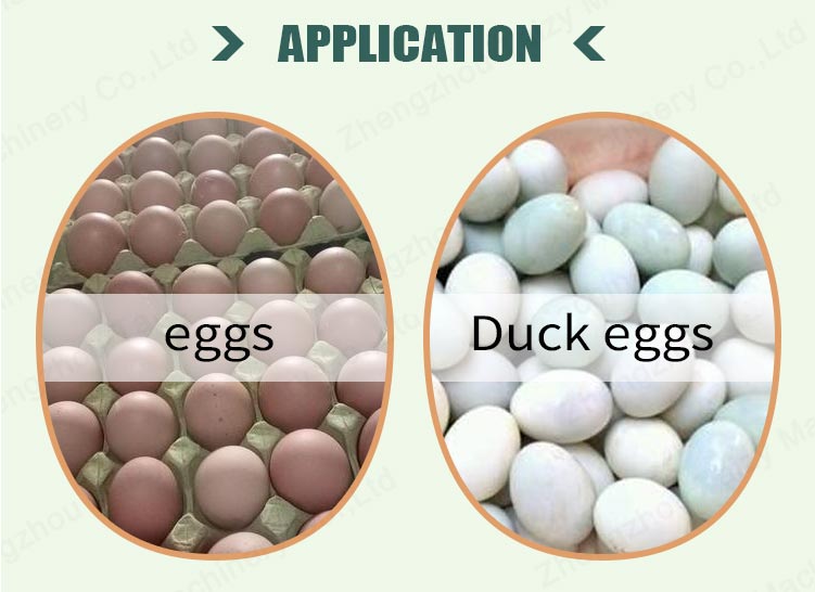 different eggs