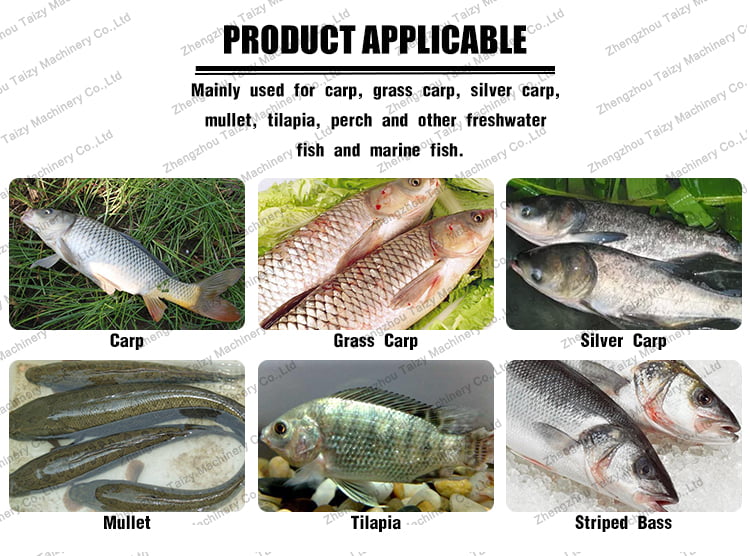 Types de poissons