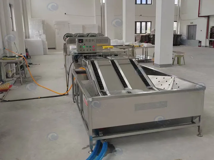 Automatic egg processing line