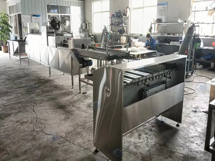Egg cleaning and grading line