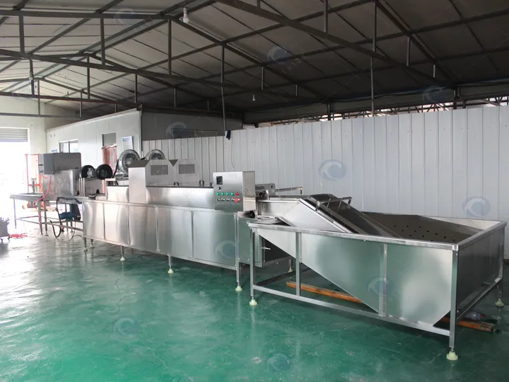 Egg processing line for chickens