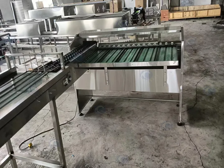 Egg processing line with grading