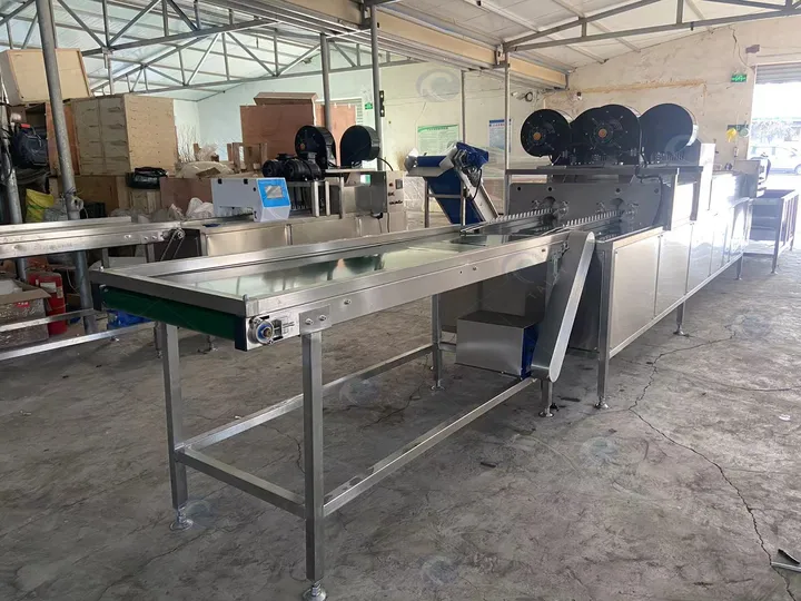 Egg processing machine line