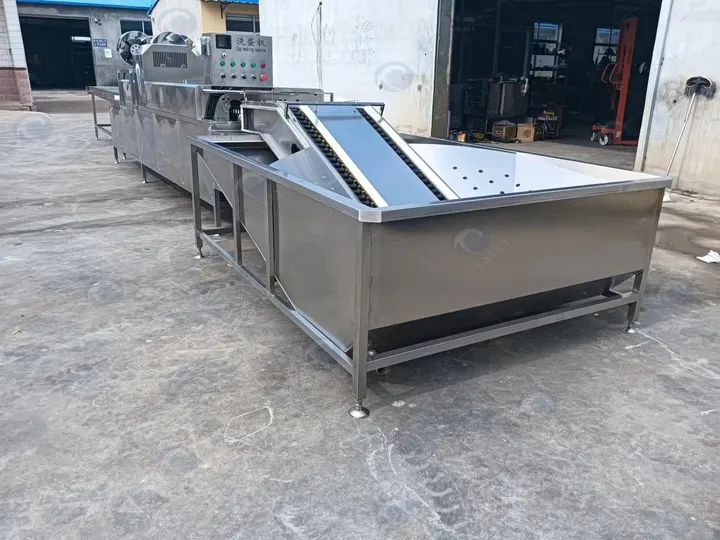 Egg processing machine price