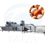 Fully Automatic Egg Processing Line