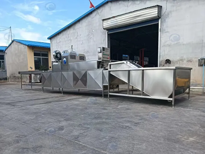 Fully Automatic Egg Processing Line