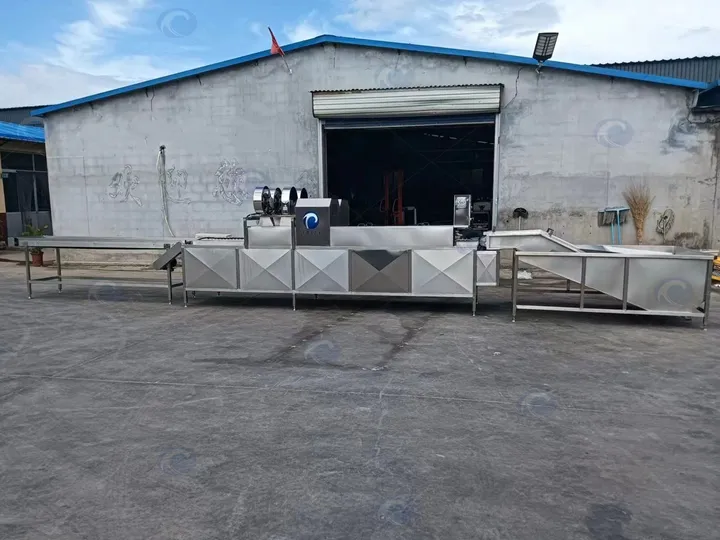 Poultry egg processing line