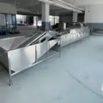 Single-Row Egg Processing Line