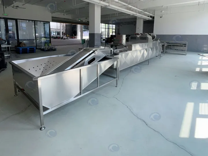 Single-Row Egg Processing Line