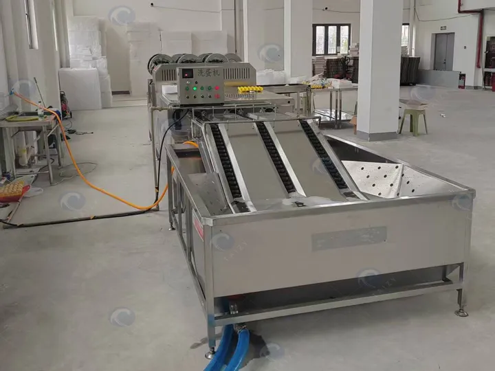 Triple-Row Egg Processing Line