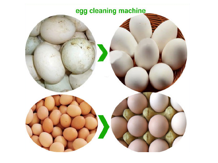Egg cleaning effect