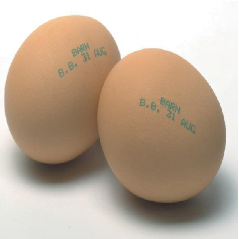 Egg Printing Machine | Egg Stamping Systems 7 Coded eggs