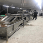 double row egg cleaning machine