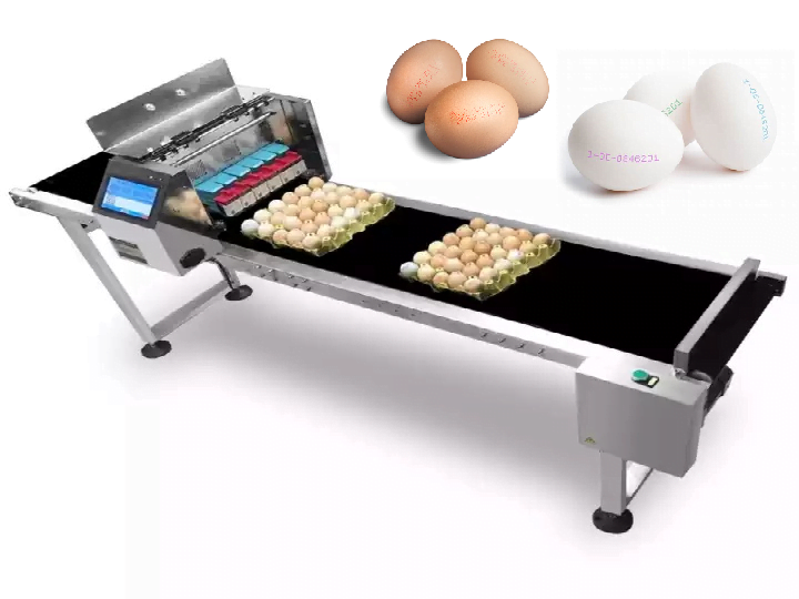 Egg printing machine