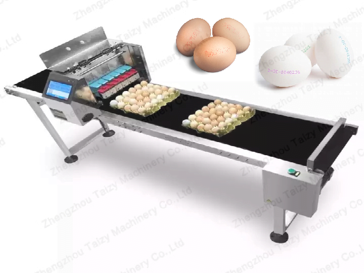 Egg printing machine