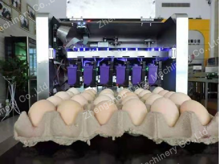 Egg Printing Machine | Egg Stamping Systems 2 Egg stamping systems