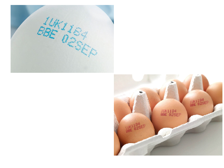 Egg Printing Machine | Egg Stamping Systems 3 Printing different colors of egg