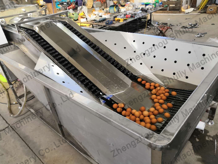 automatic egg washing machine