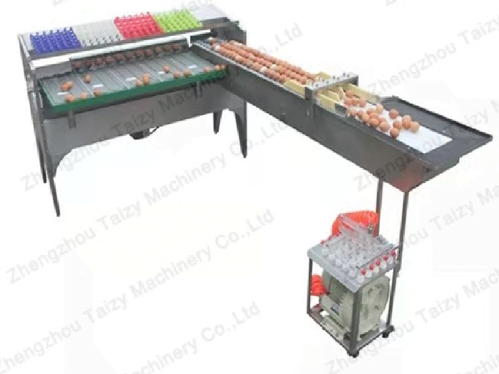 Egg grader