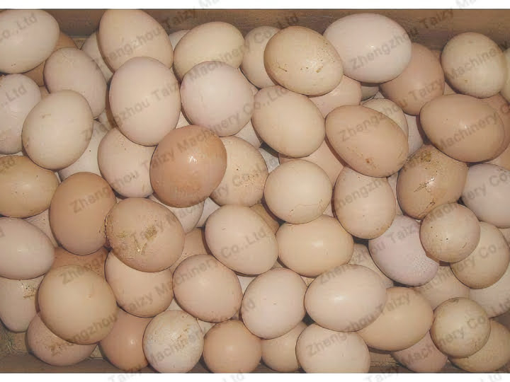 Why Are The Eggs In The Supermarket So Clean? 7 Dirty eggs