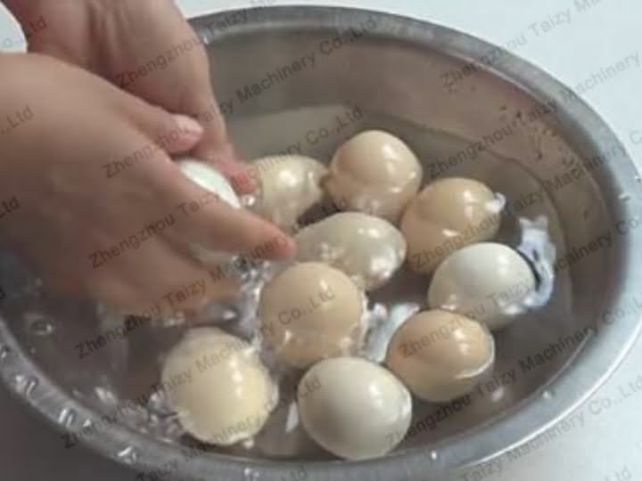Why Are The Eggs In The Supermarket So Clean? 6 Egg washing