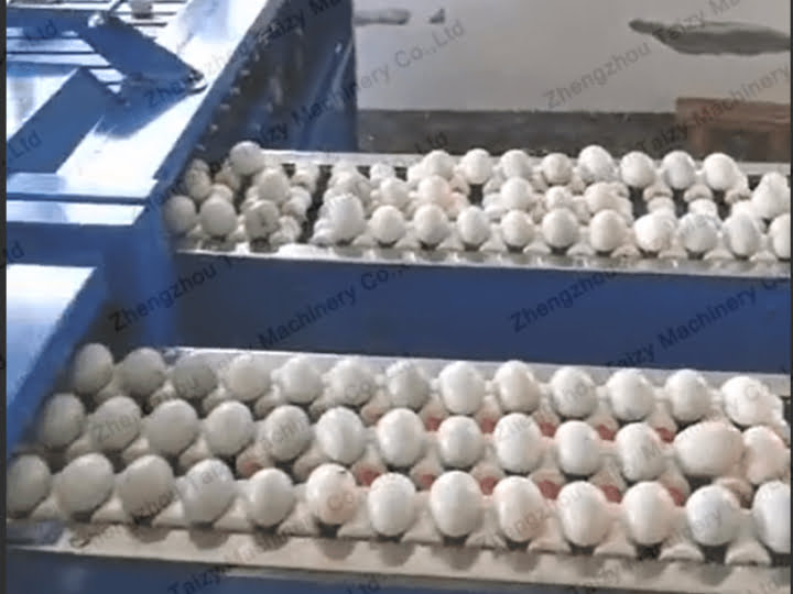 Why Are The Eggs In The Supermarket So Clean? 8 Clean eggs