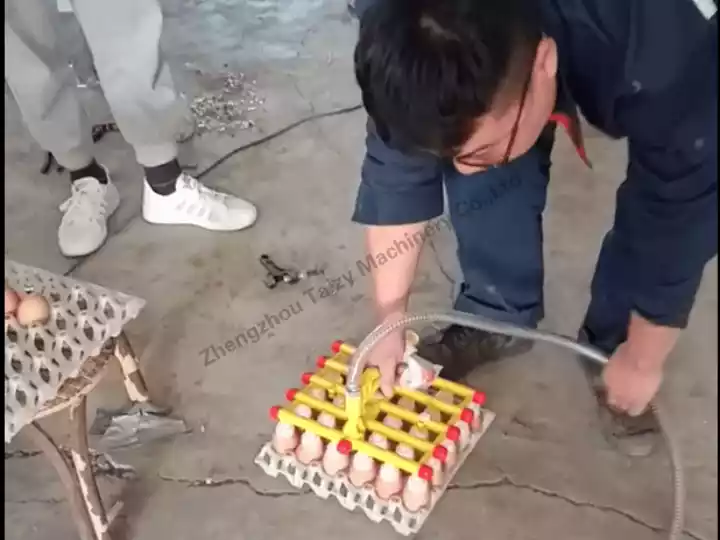 Egg Grader Machine Sales To Bolivia 3 Egg elevator